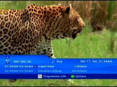 NSS 6 at 95.0 e-Indian footprint-packet Dish TV-12 647 V National Geographic Channel HD Asia-01