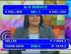 Hellas Sat 2 at 39.0 E _ 11 664 H feed Cihan _ VA pids data